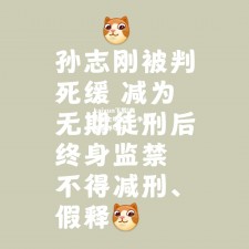 kaiyun下载|弗赖堡主场告负，争取下轮反弹夺分