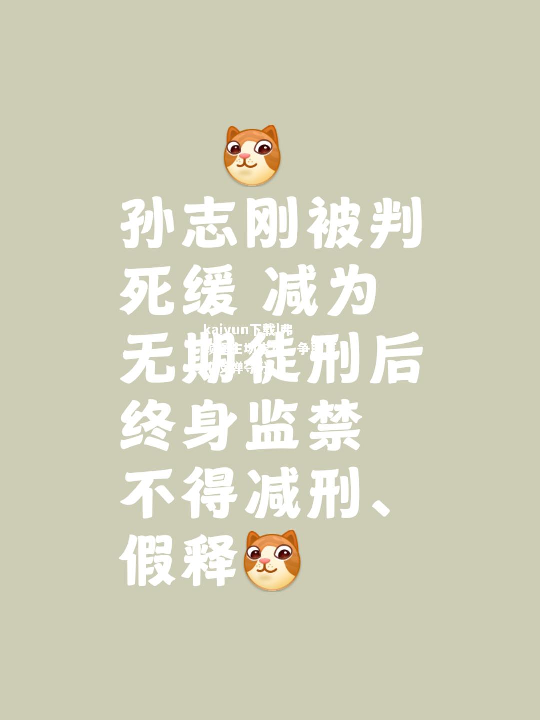 kaiyun下载|弗赖堡主场告负，争取下轮反弹夺分  第1张